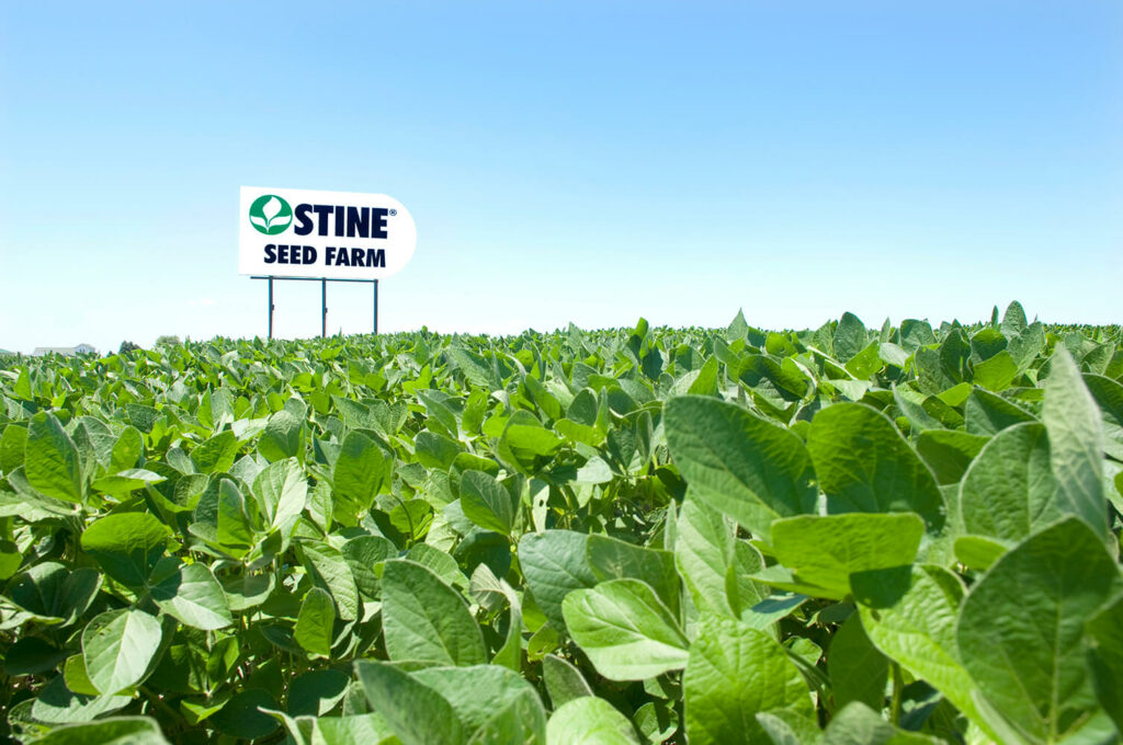 Stine Seed Farm sign in a soybean field